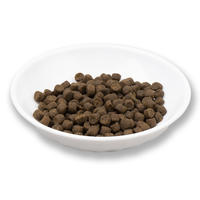 Healthy New Cat Treats Dry Cat Food Private Label Supplier