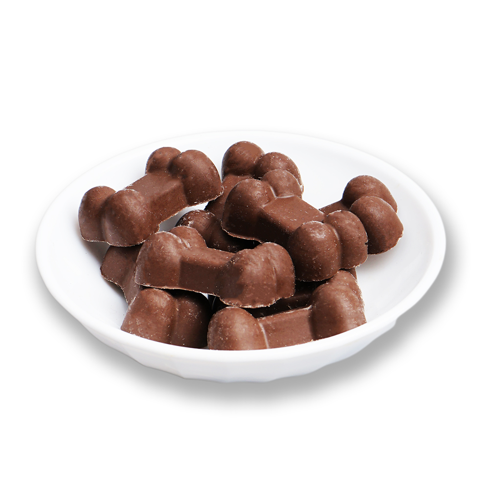 Chocolate Basic Dog Treats OEM Snacks Supplier